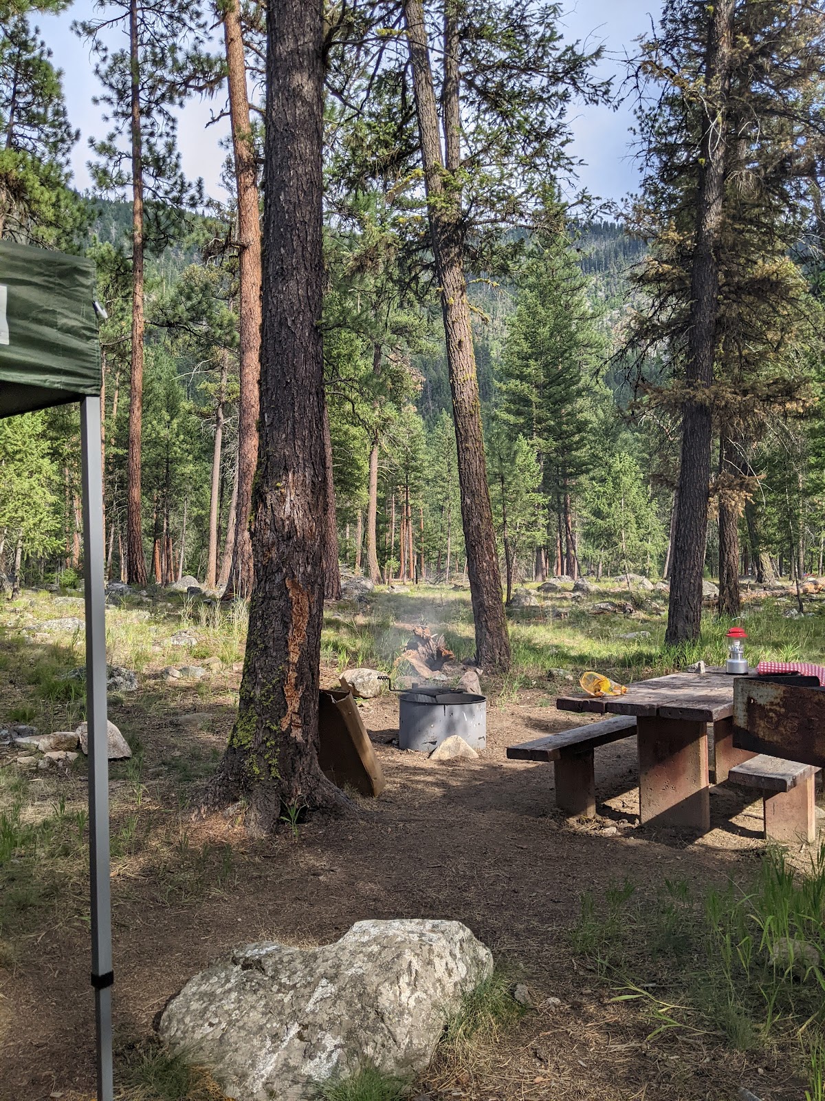 Yellow Pine Campground