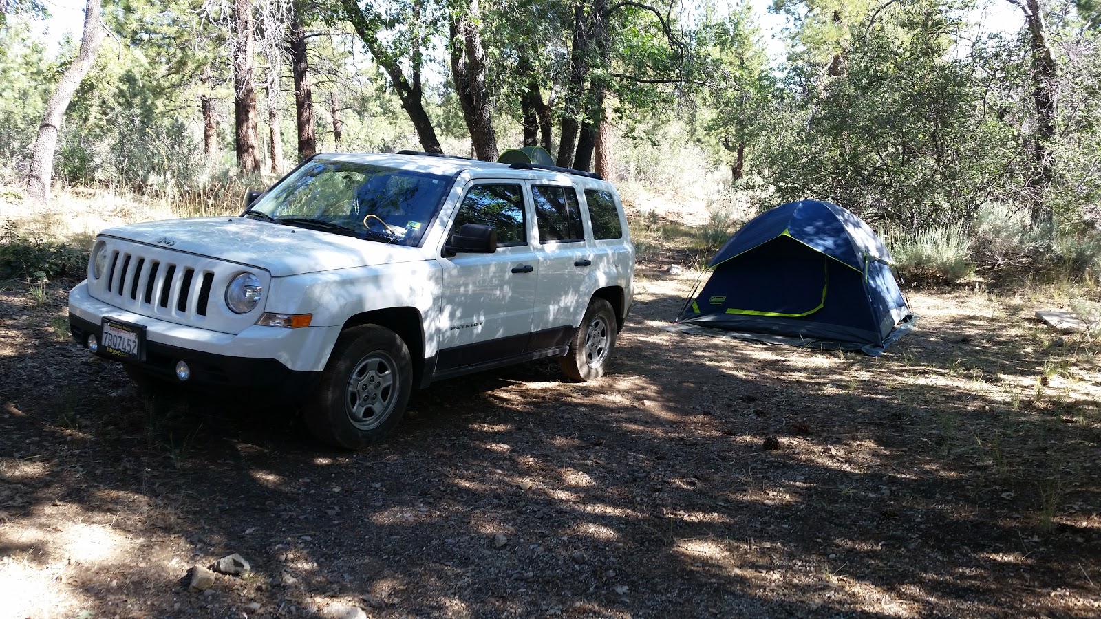 Green Spot Equestrian Group Camp