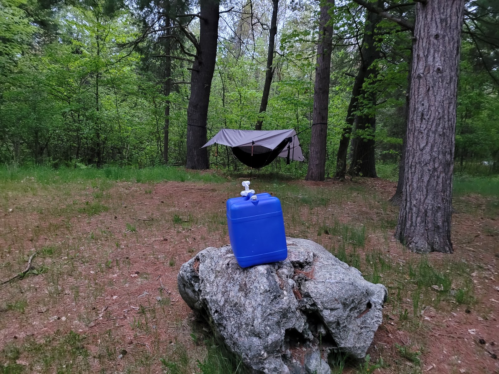 Pickerel Lake Otsego SF Campground
