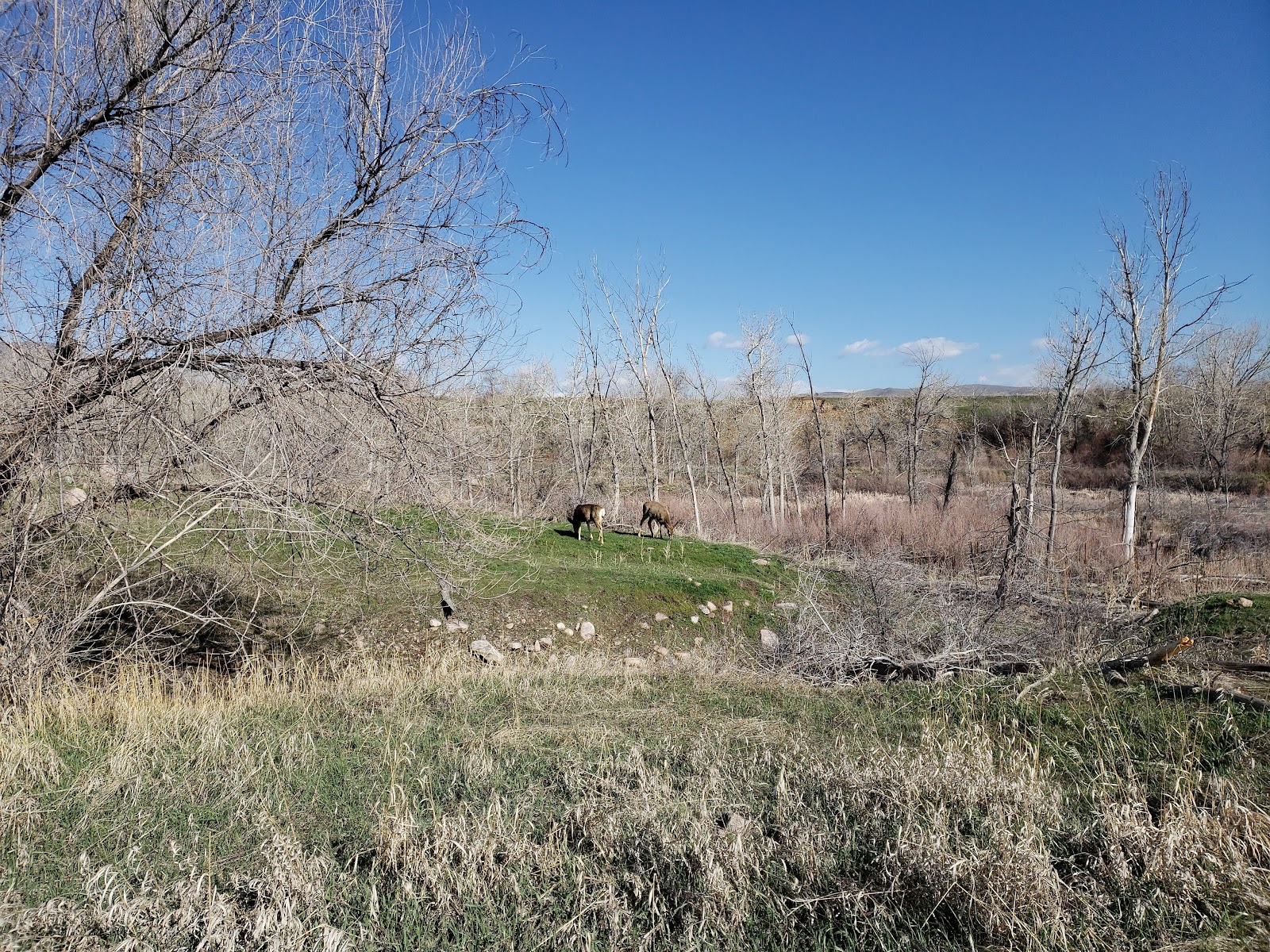 Bear Creek Lake Park