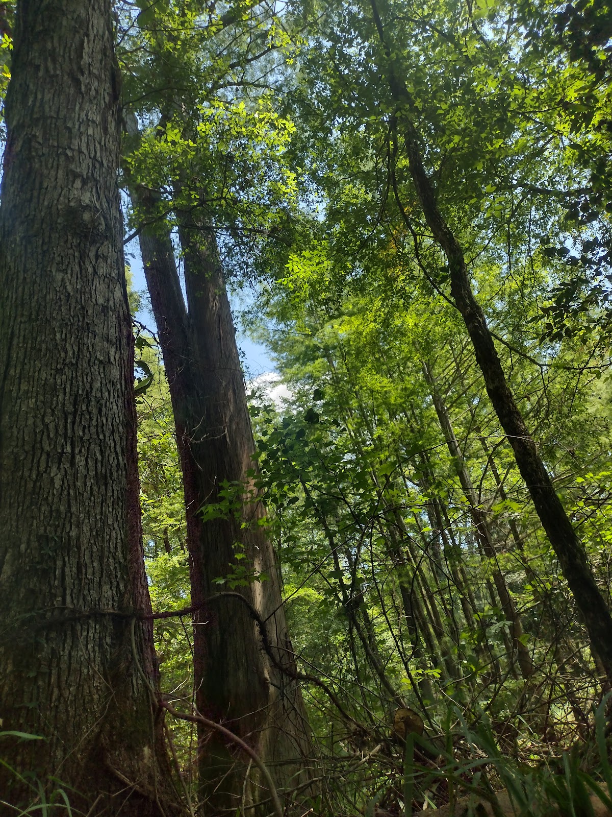 Pond Creek National Wildlife Refuge