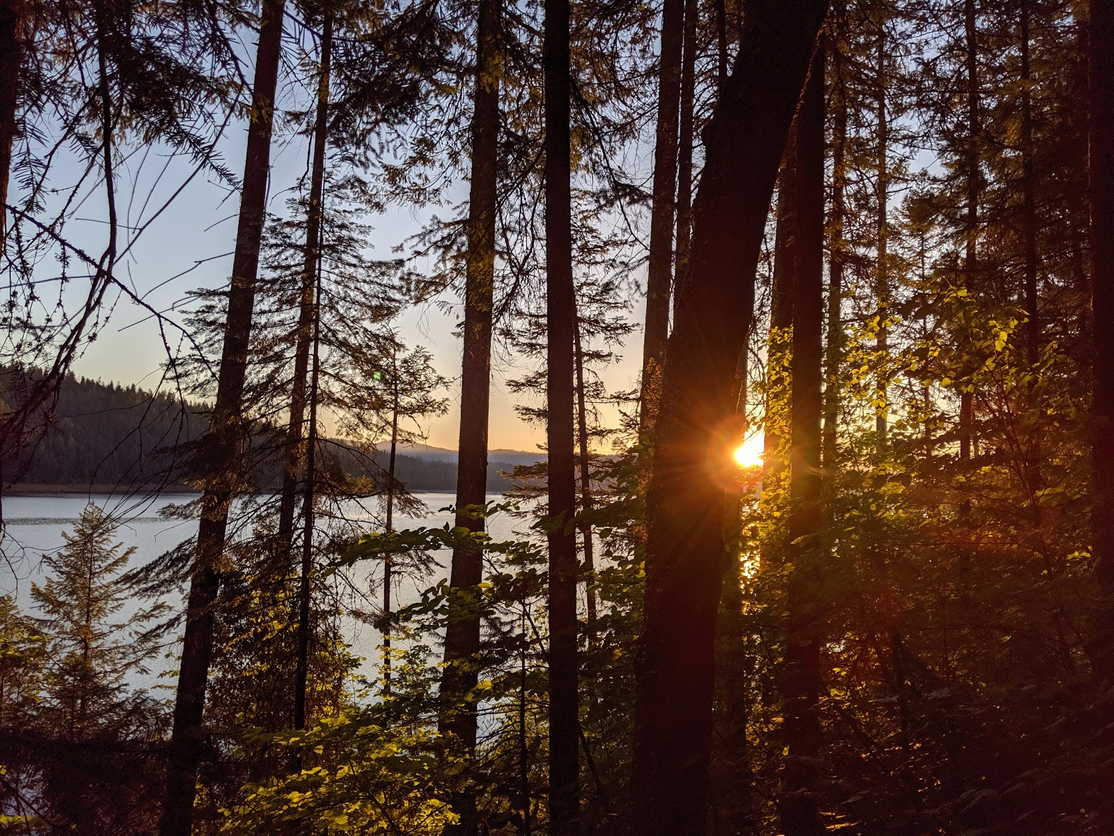 Shell Gulch Campground
