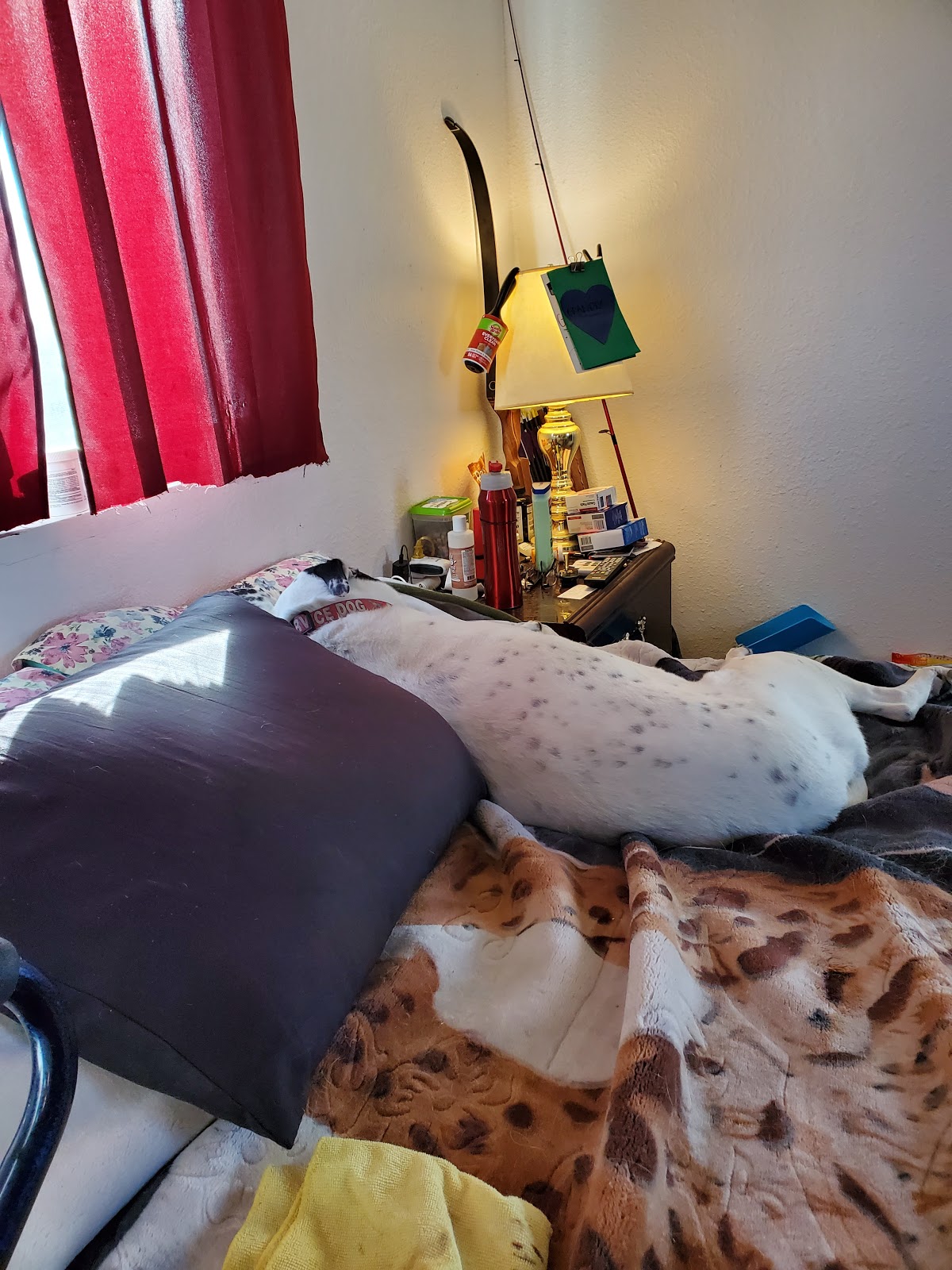 Valley View RV Park and Mobile Home