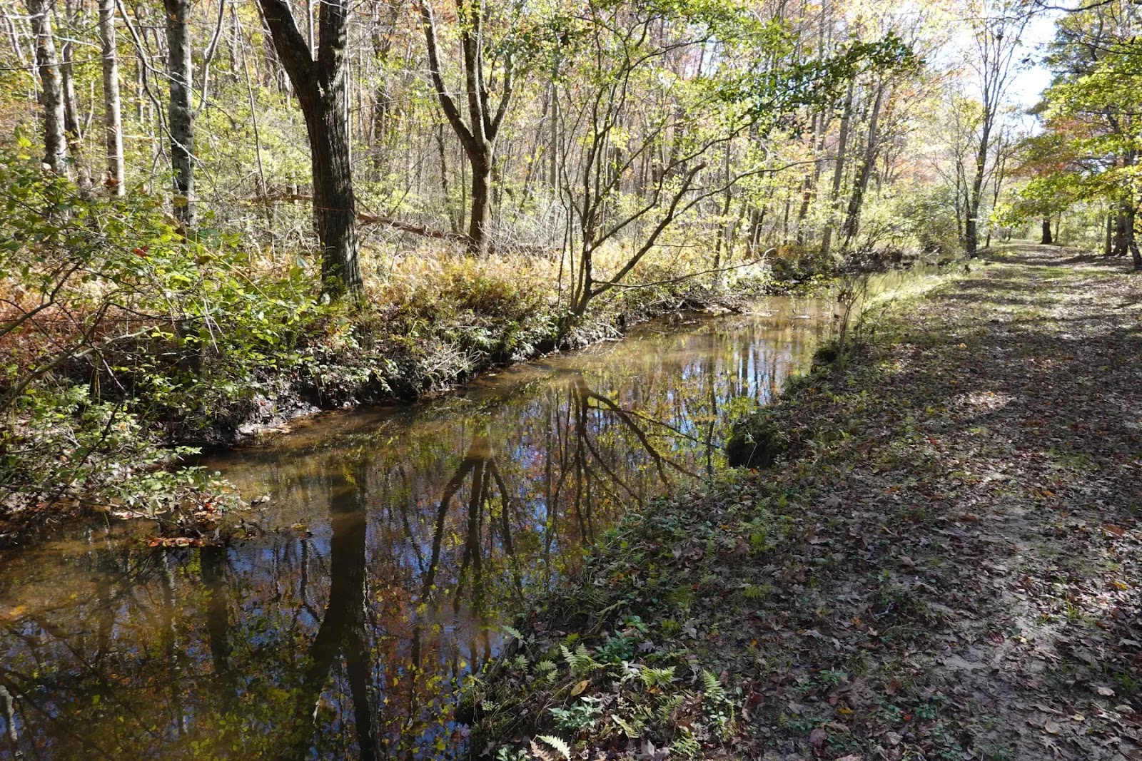 High Valley Log Cabins & Camping