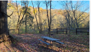 Gilbertson Conservation Education Area