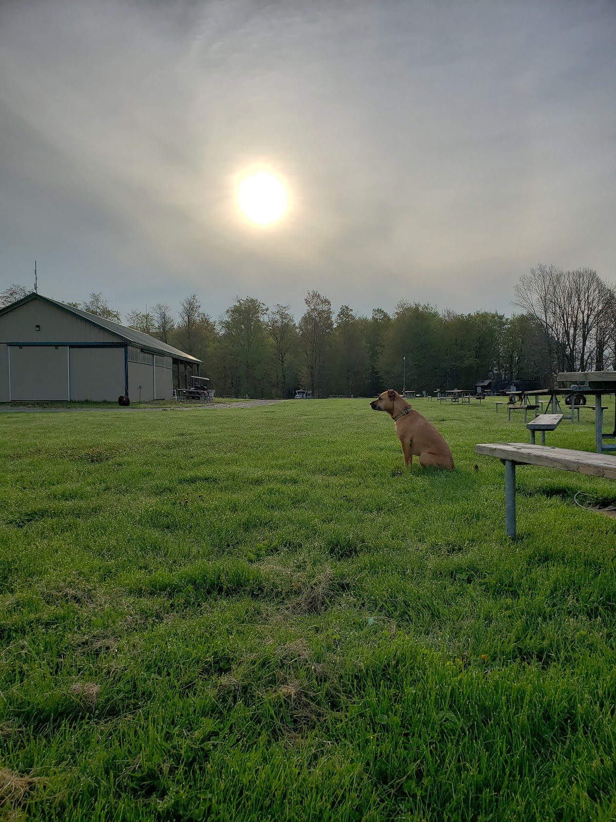 Southwoods RV Resort