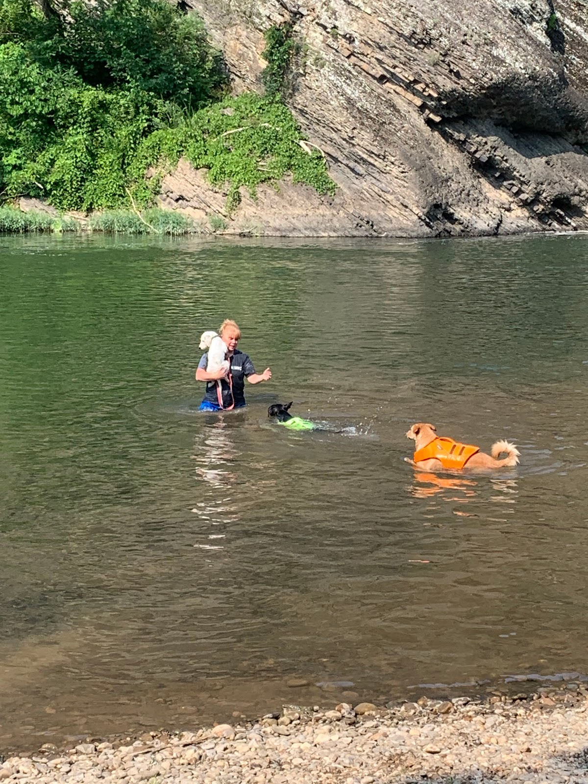 Milleson's Walnut Grove Campgound