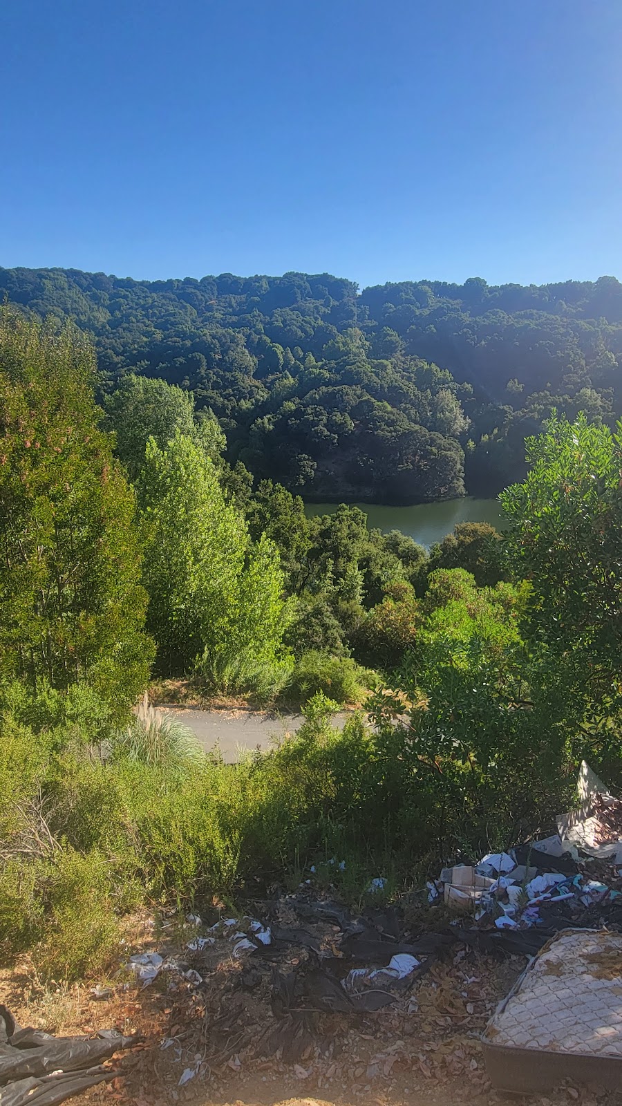 Anthony Chabot Regional Park Camping