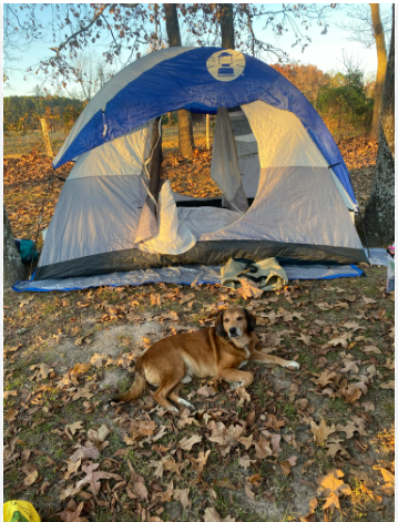 Richard's Campground