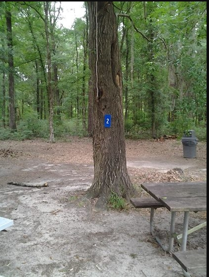 Houston County Chattahoochee Park Camping