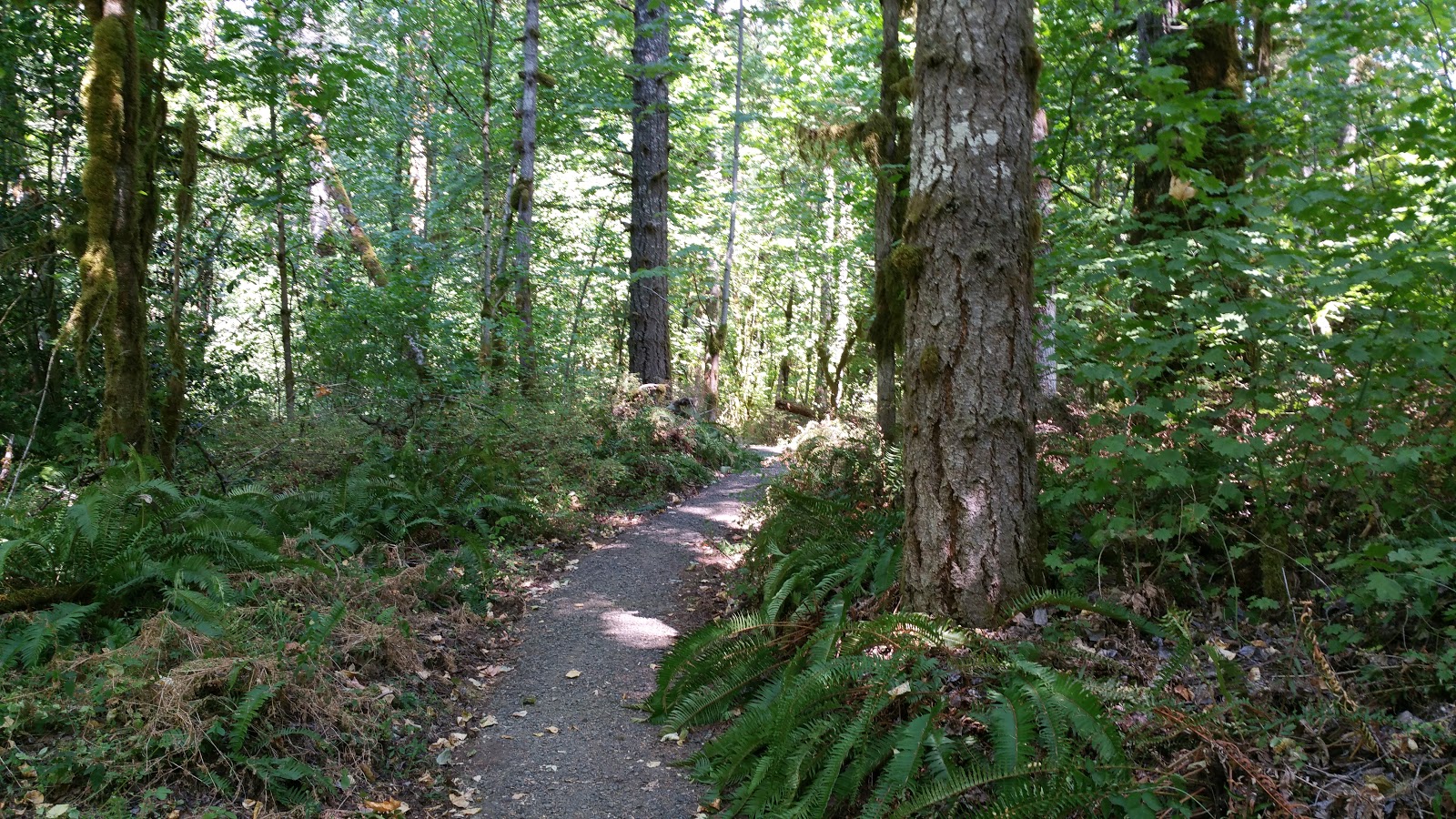 Fishermans Bend Rec Site