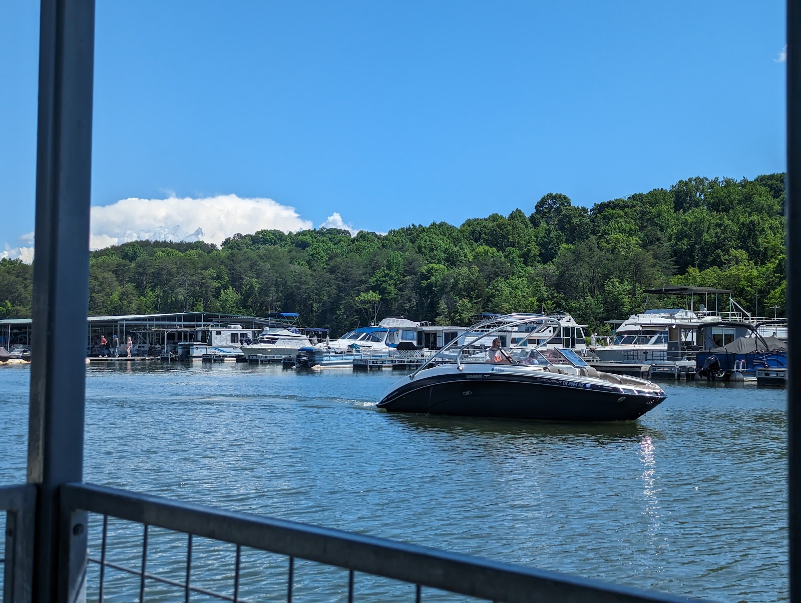 Fall Creek Marina & Campground