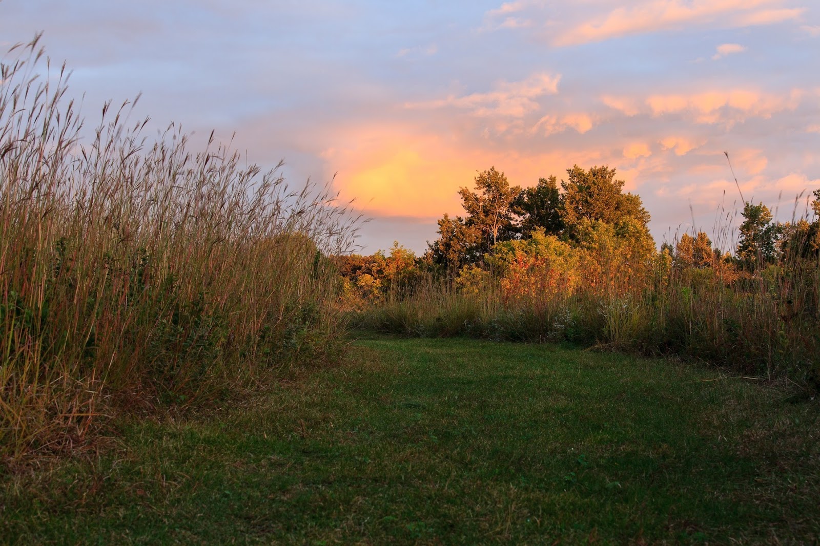 Buffalo River State Park