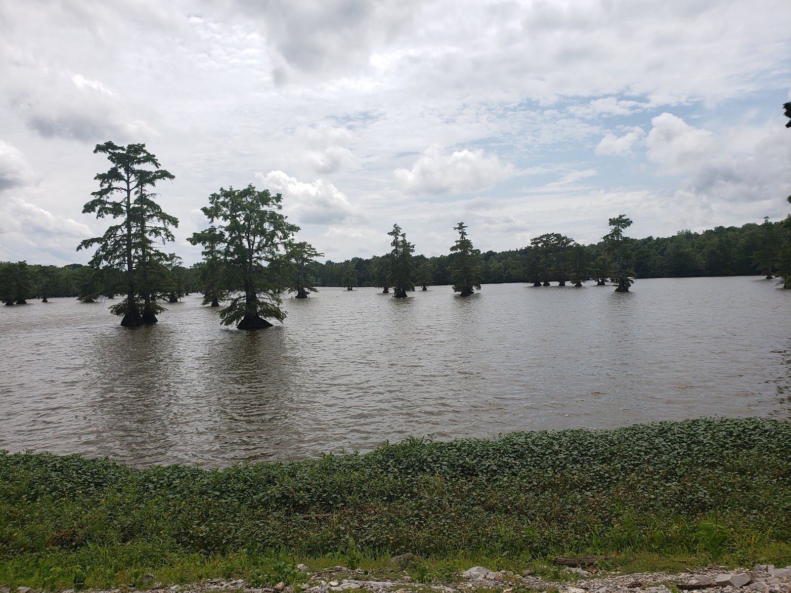 Horseshoe Lake State Fish and Wildlife Area (Alexander County)