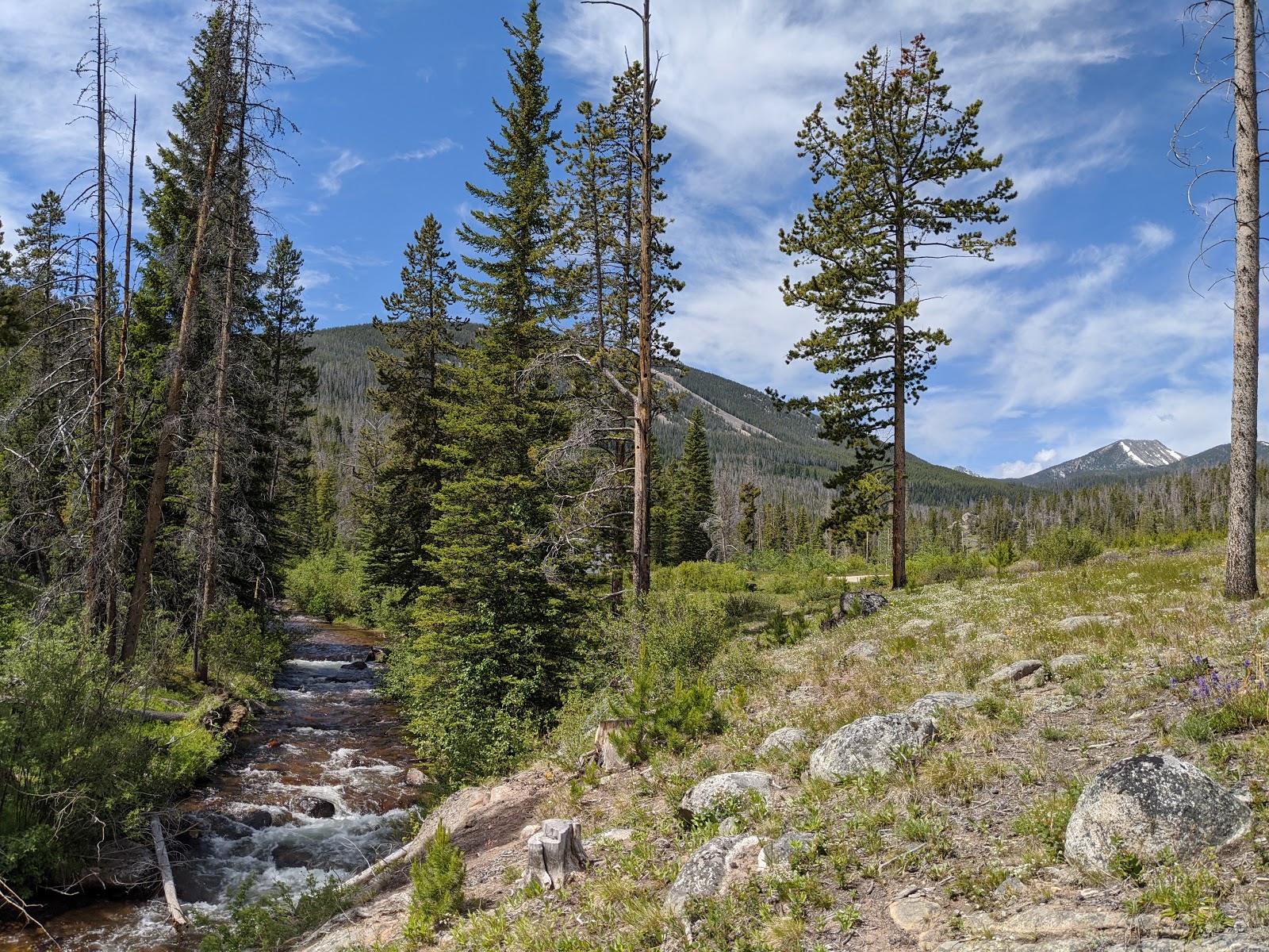Dinner Station Campground
