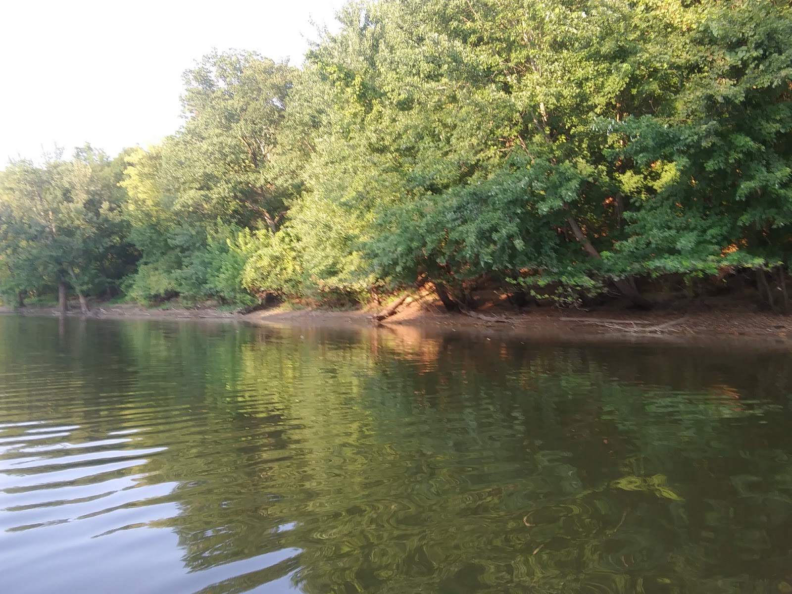 Big River State Forest