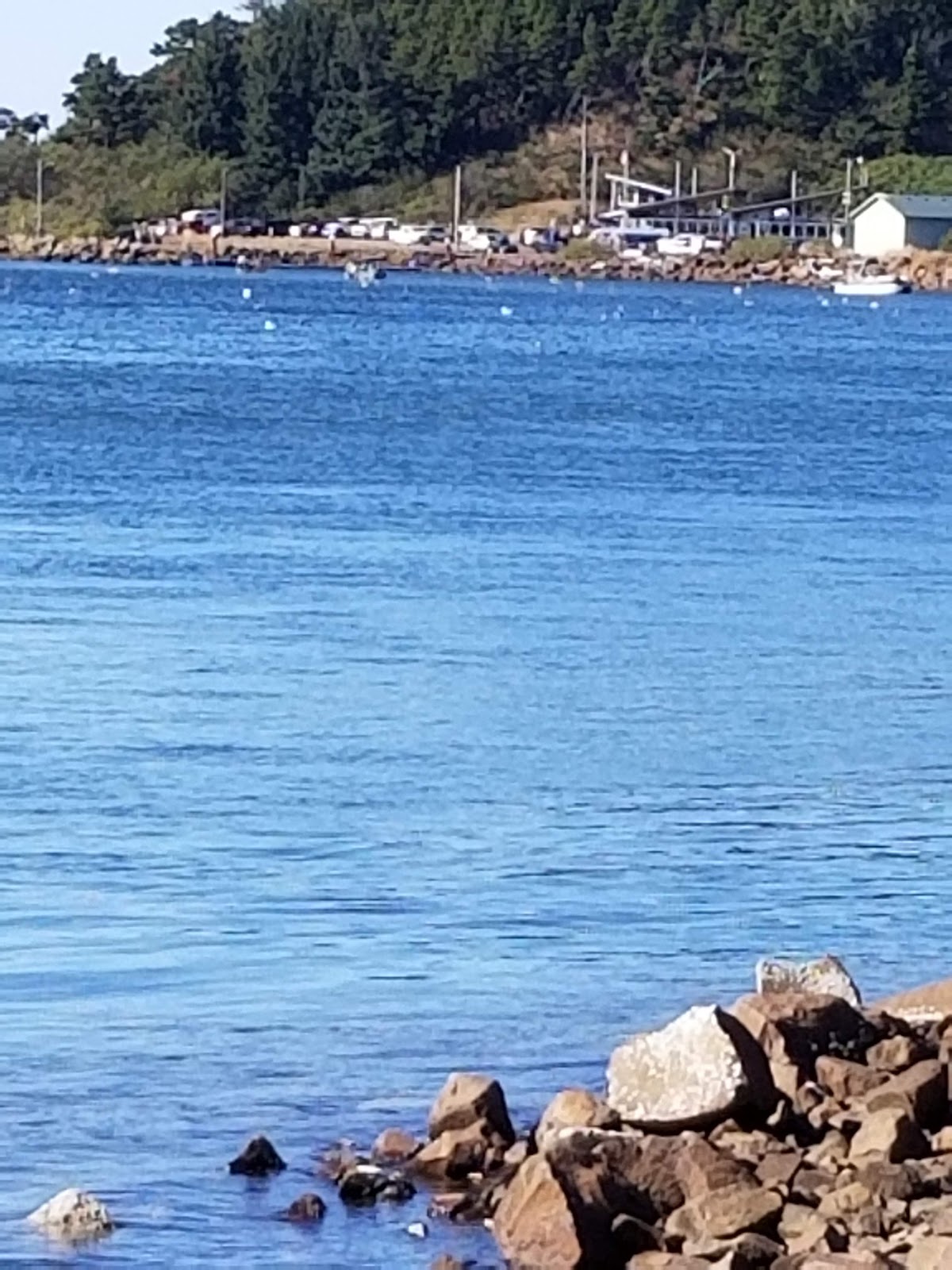 Netarts Bay Rv Park & Marina