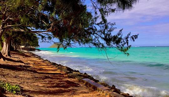 Bellows Field Beach Park