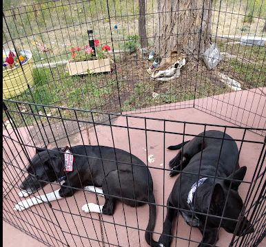 Cozy Comfort RV Park