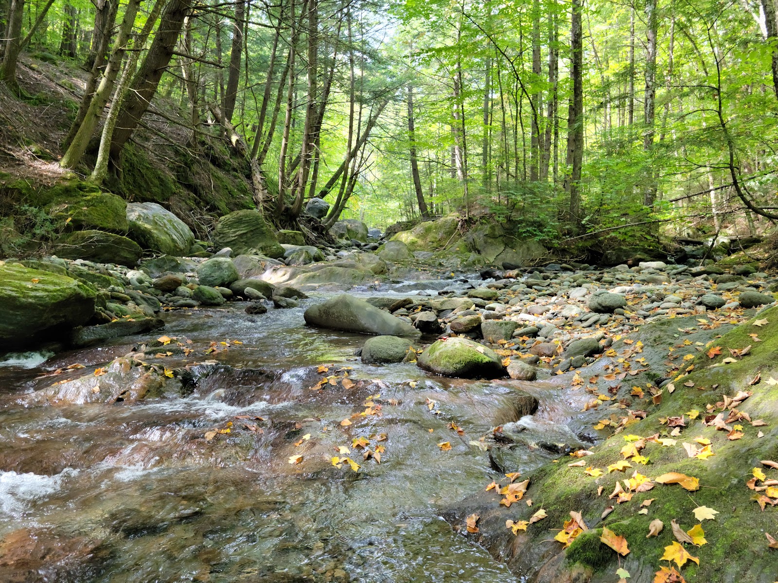 Little River State Park