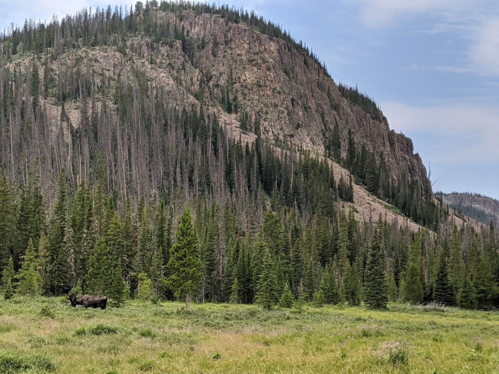 Long Draw Campground