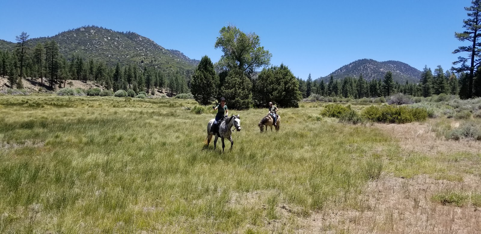 Heart Bar Equestrian Campground