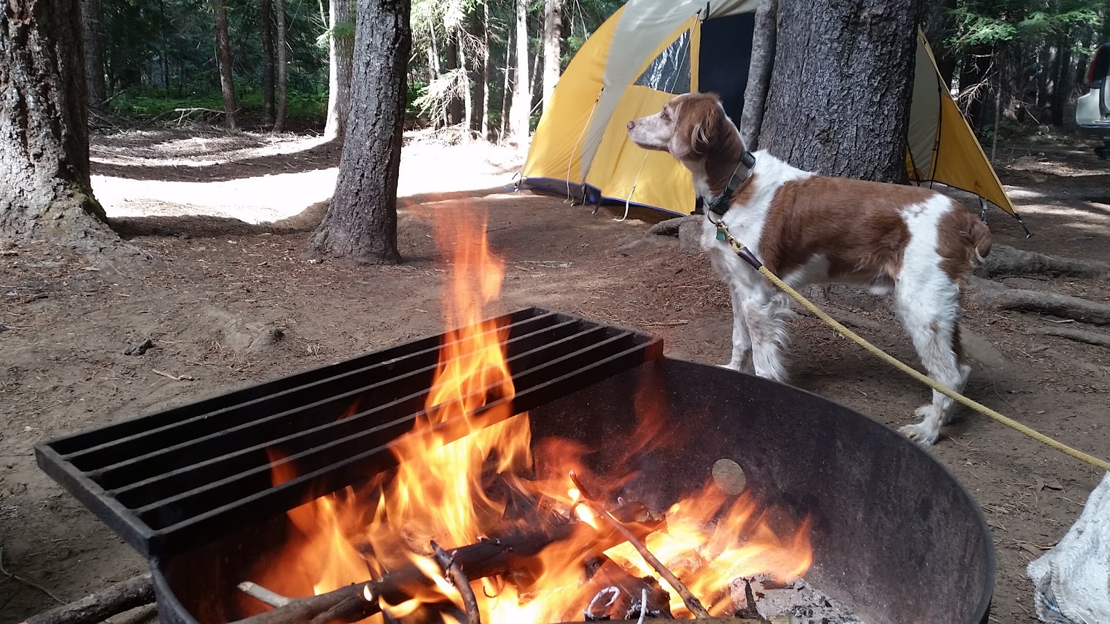 Peterson Prairie Campground