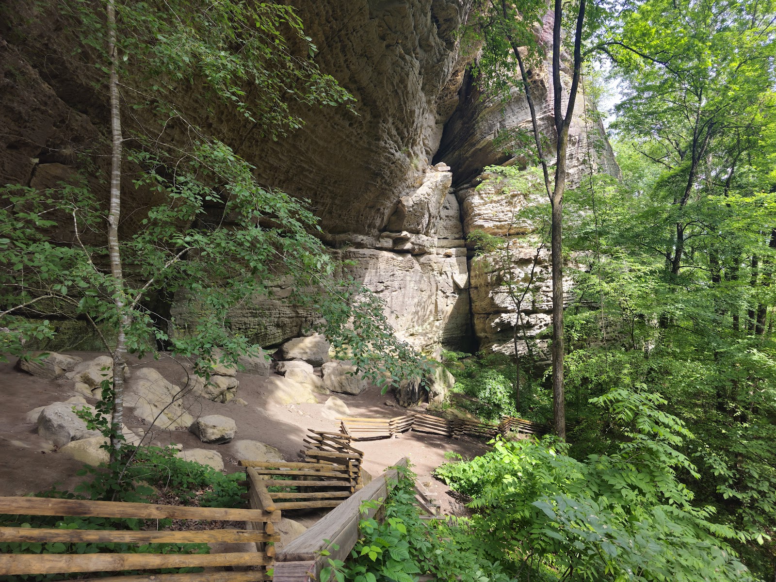 Daniel Boone National Forest