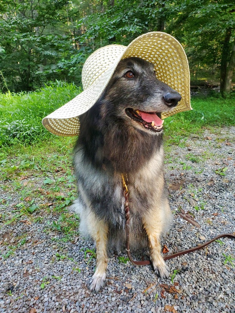 North River Campground