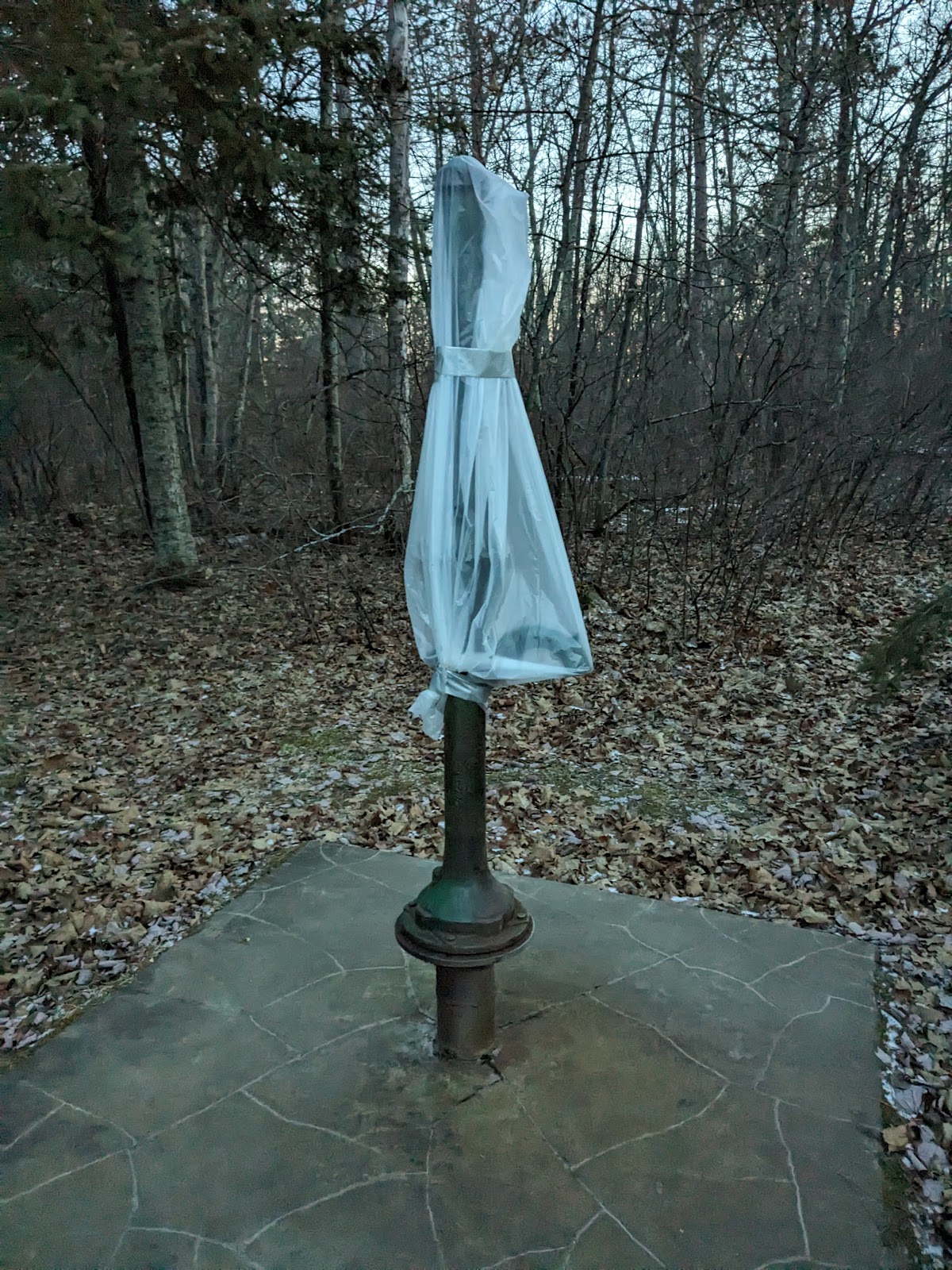 Mabel Lake Campground