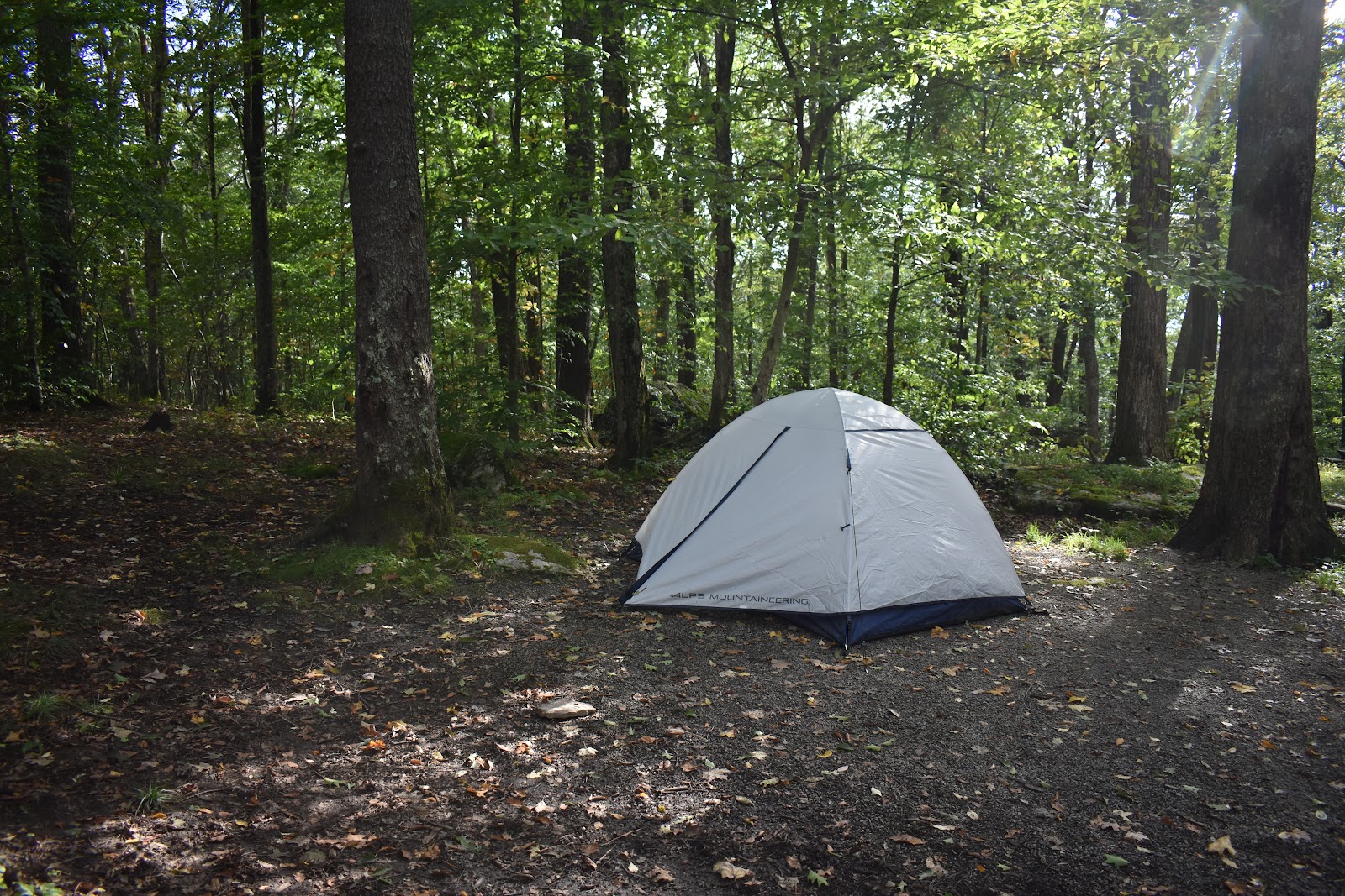 Bear Haven NF Campground