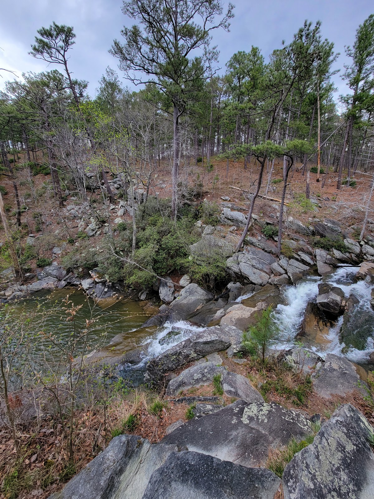 Turnipseed Campground