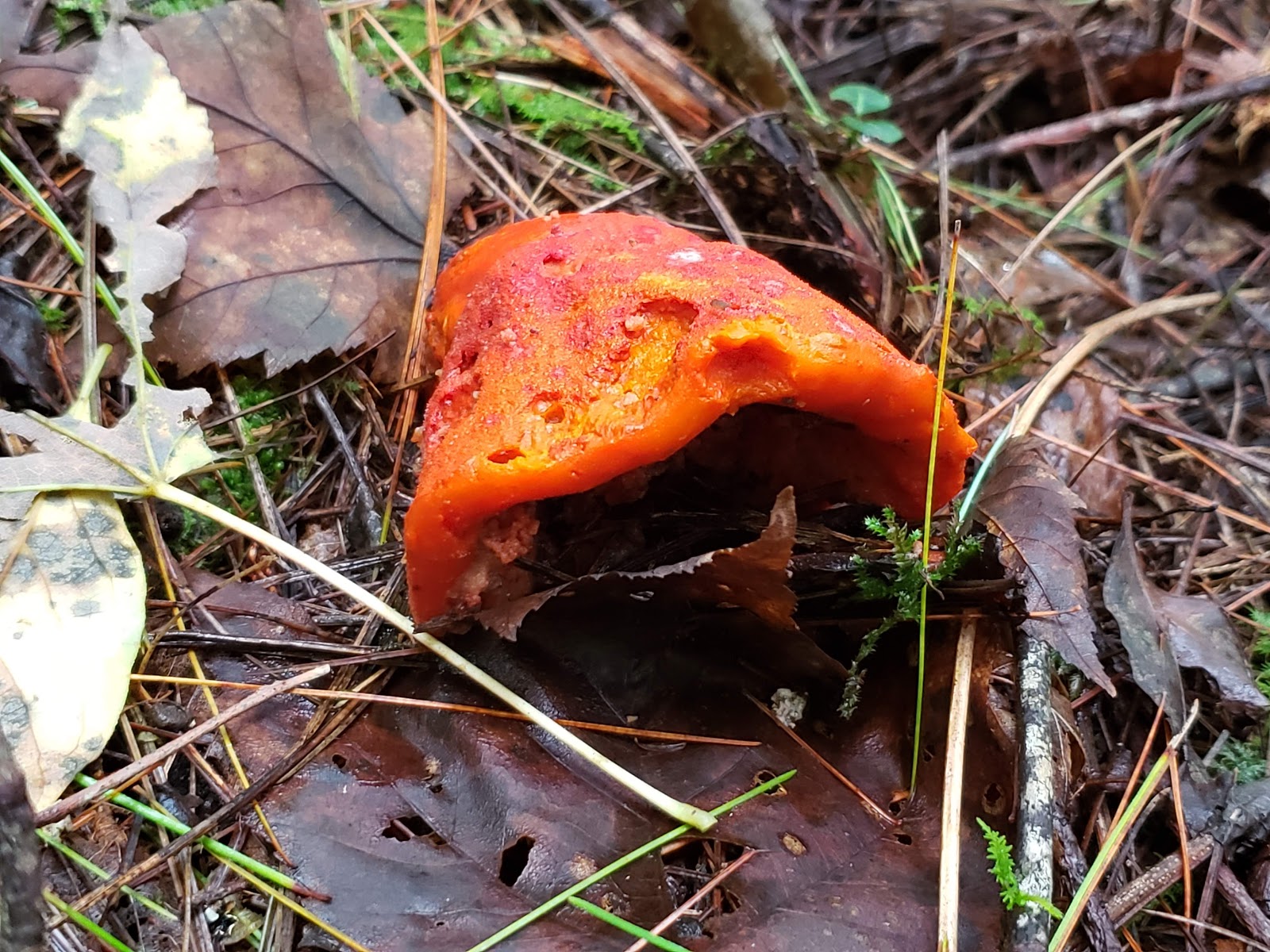 North Creek Campground