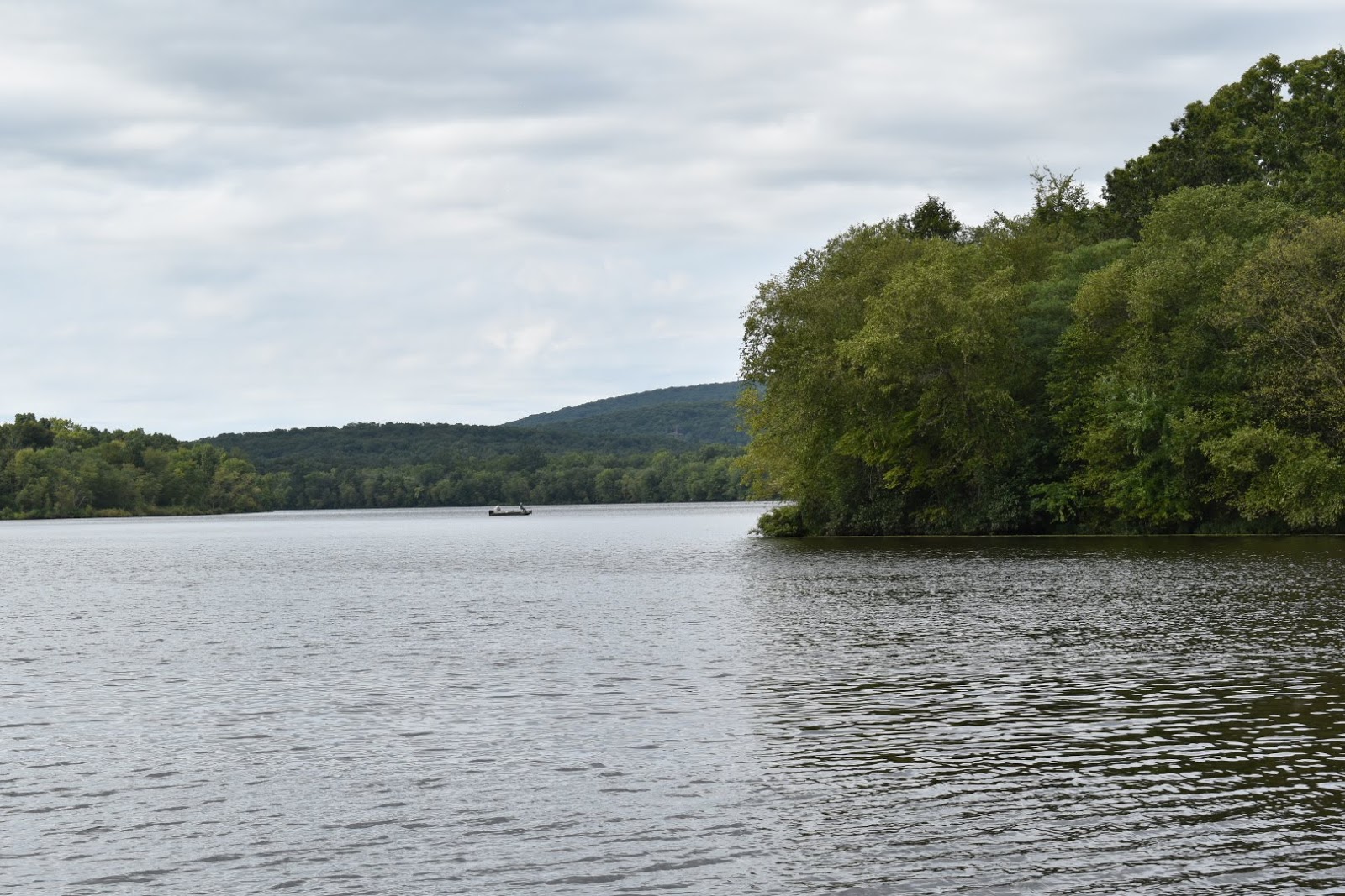 Bismarck Conservation Area