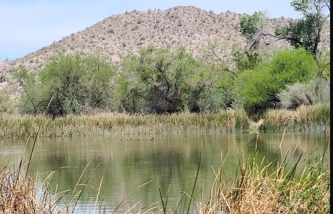 Twin Peaks Campground