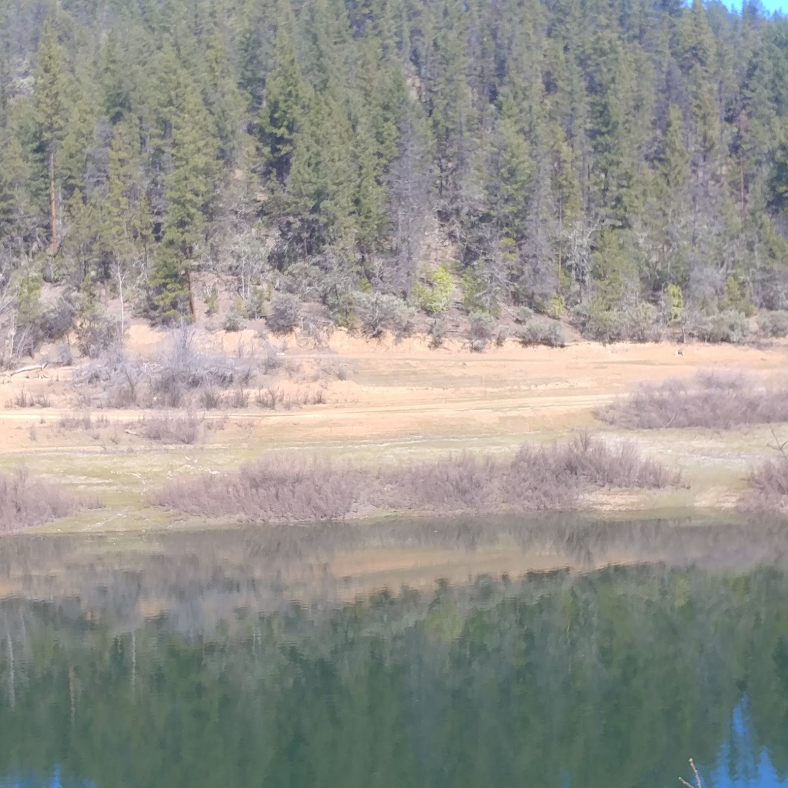 Harr Point Campground