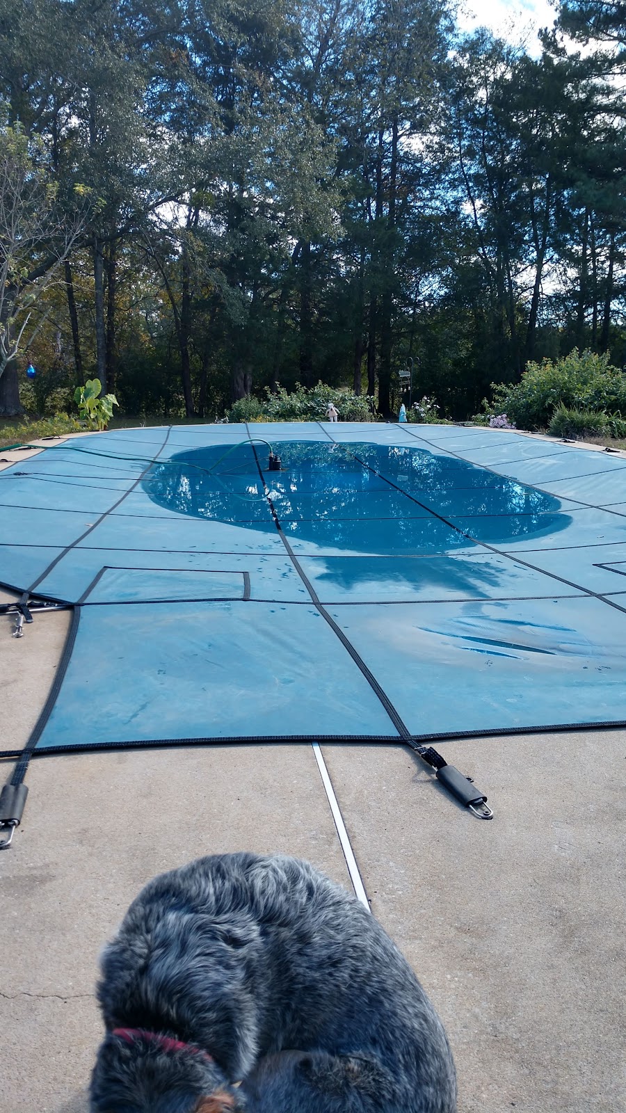 Pines RV Park & Cabins