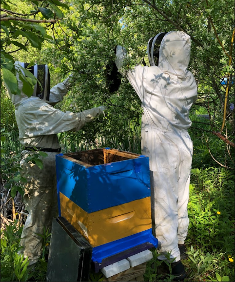 Searsport Shores Oceanfront Campground