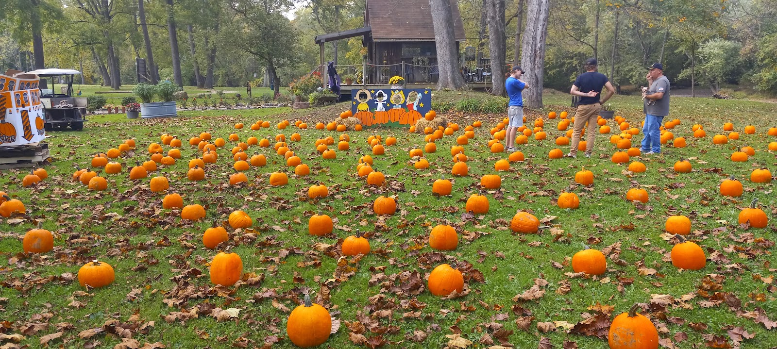 Wally World Camping Resort