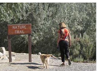 Rye Patch State Recreation Area