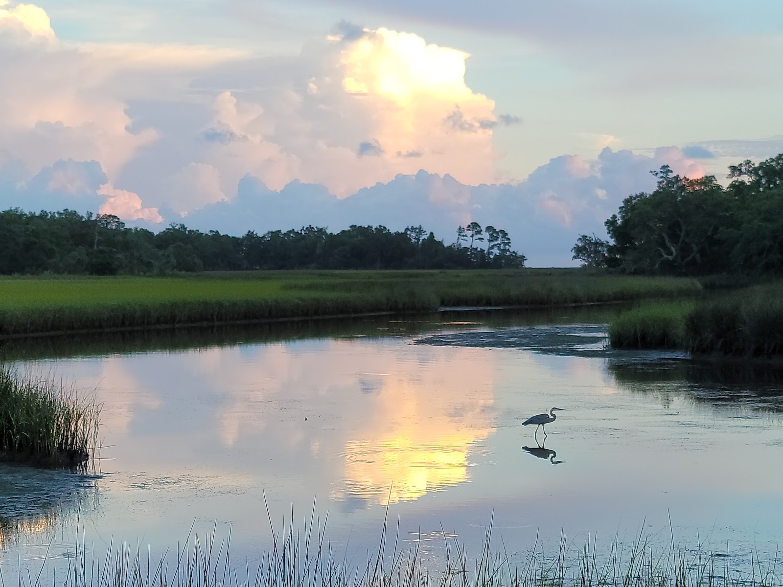 Davis Bayou Campground