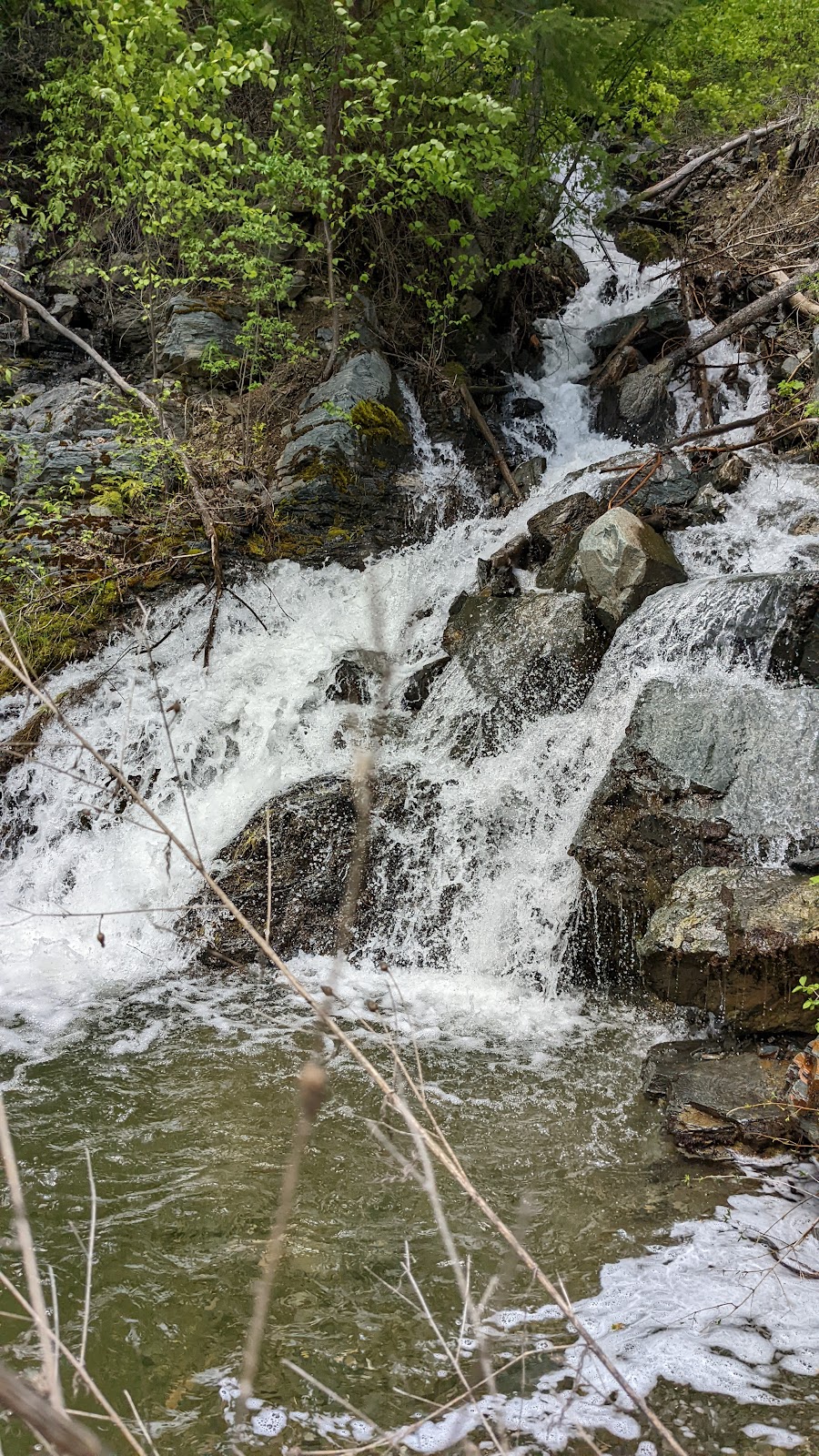 Sullivan Lake West Campground