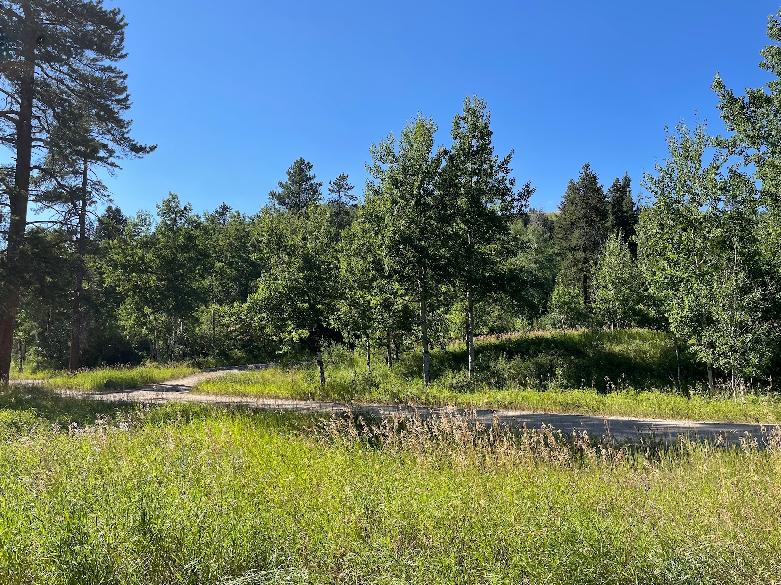 Thain Creek Campground