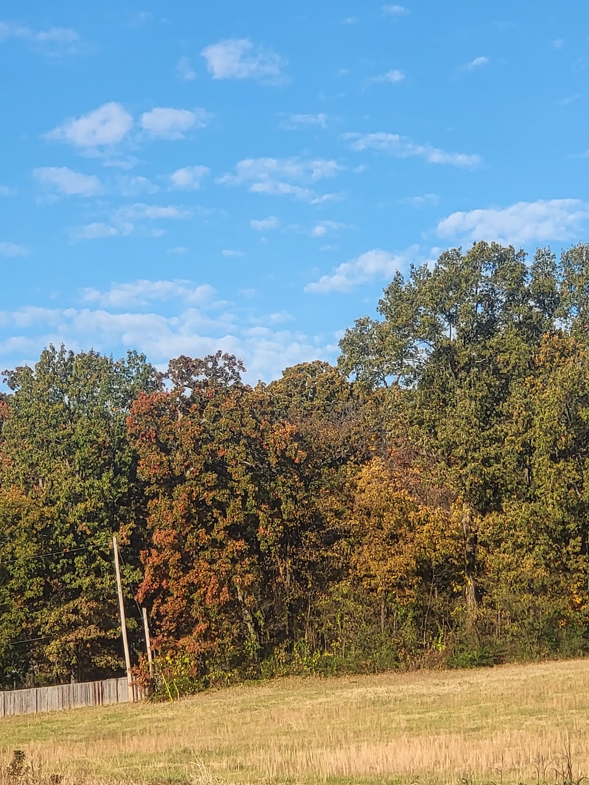 Elvis Presley Boulevard RV Park