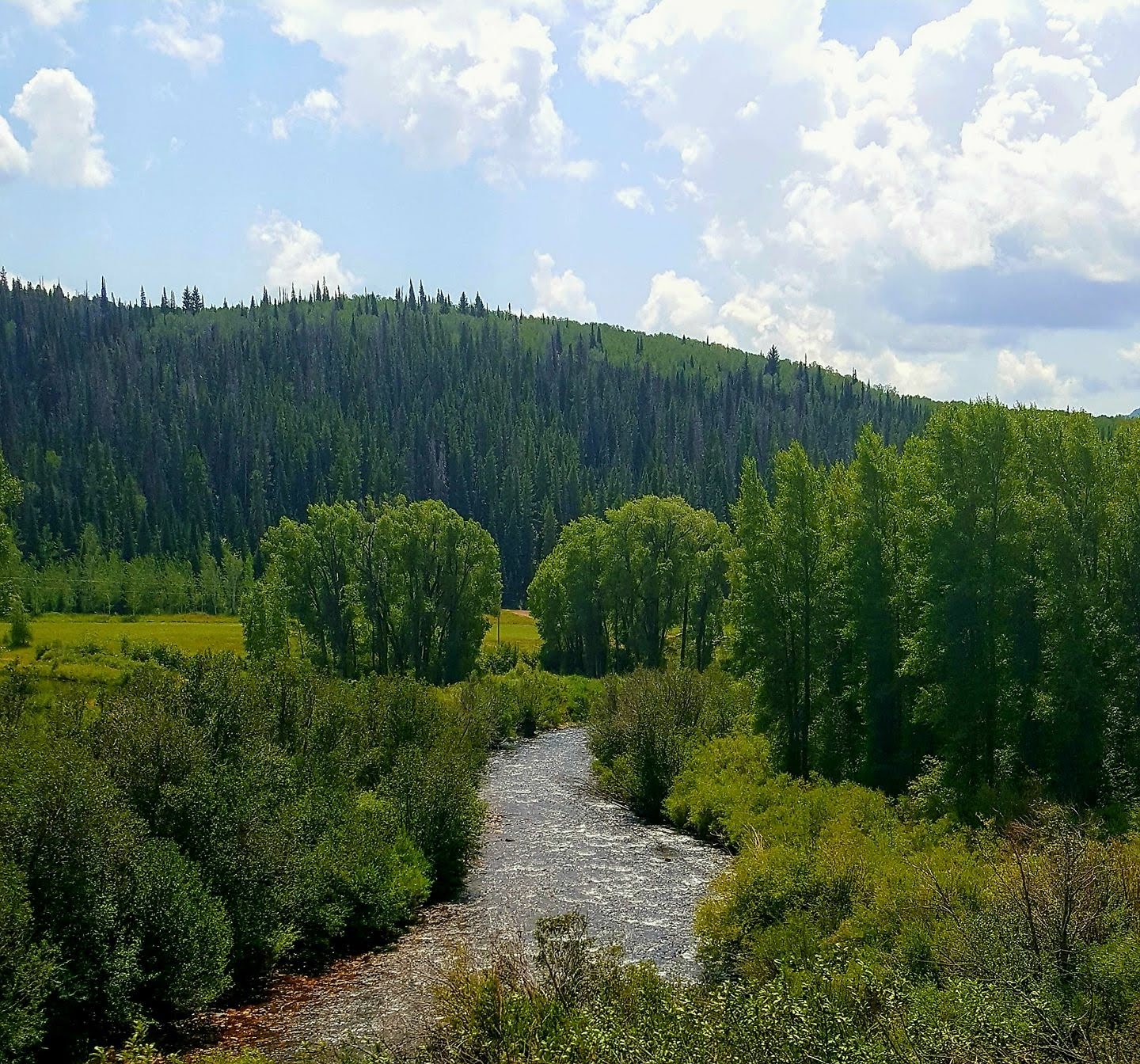 Himes Peak Campground