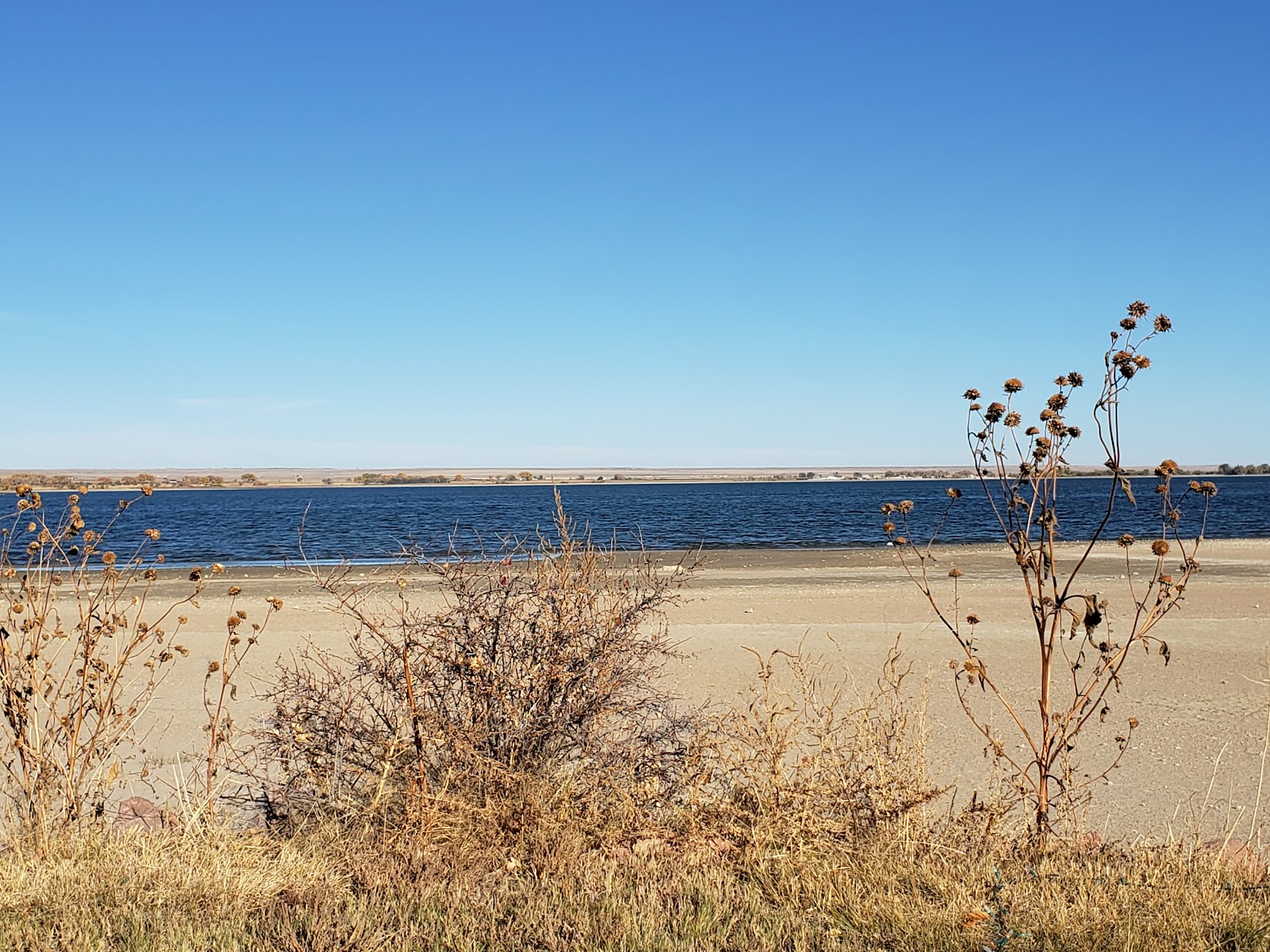 Cove - Jackson Lake State Park