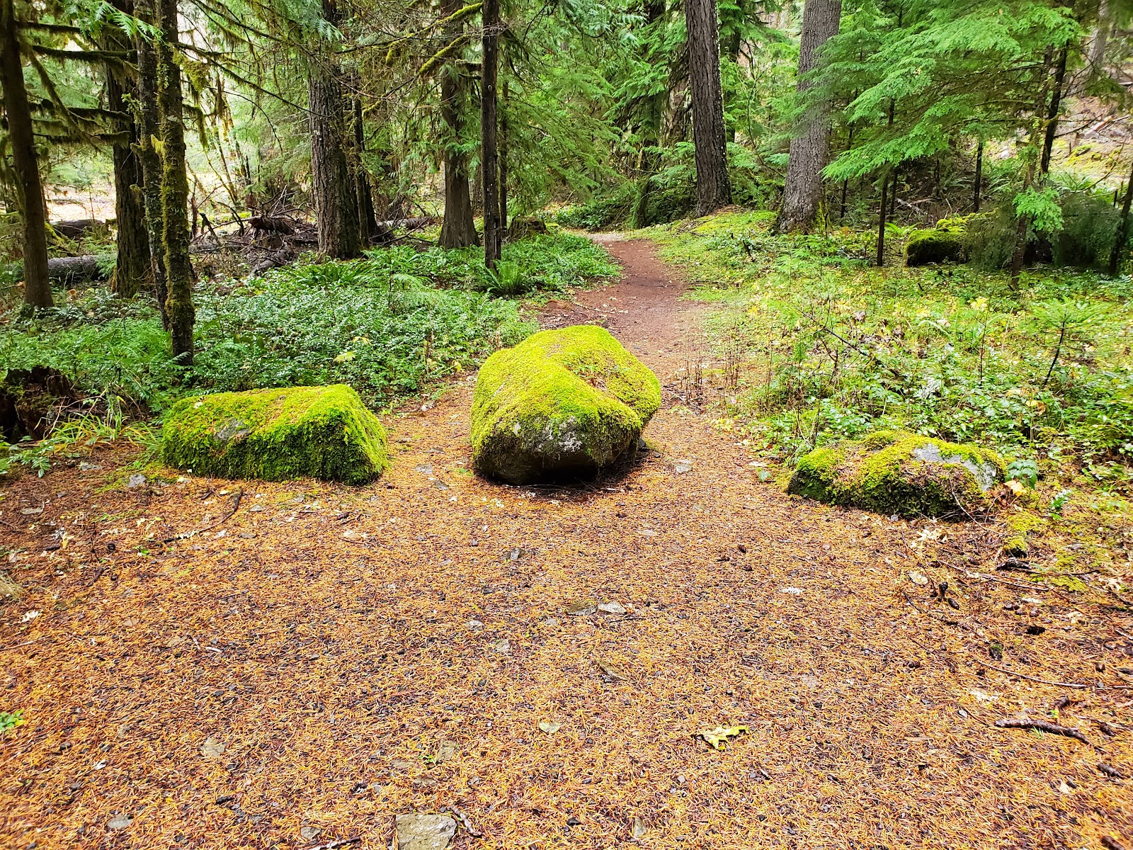 Red Diamond Campground