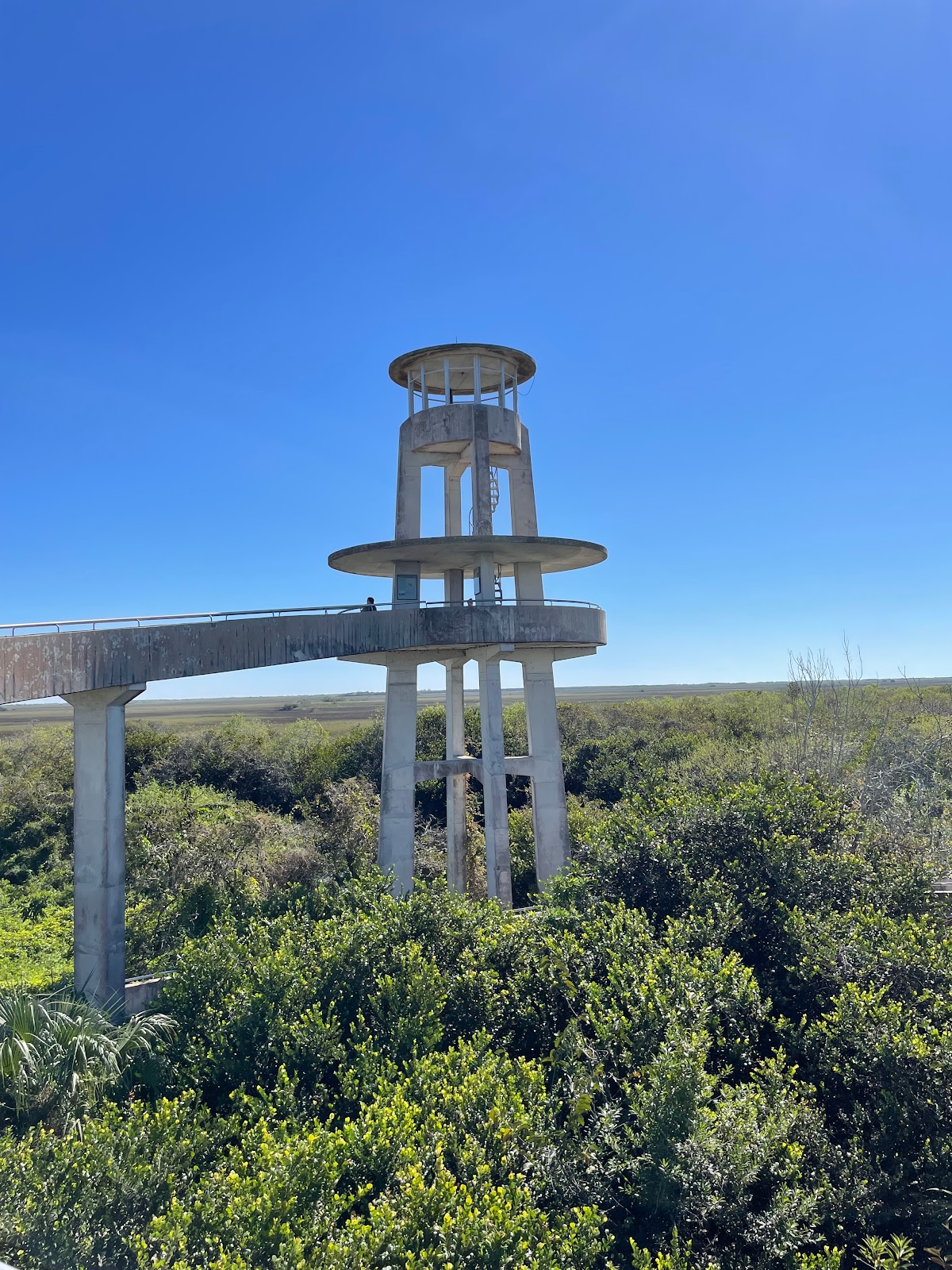 Backcountry Alligator Creek - Everglades National Park