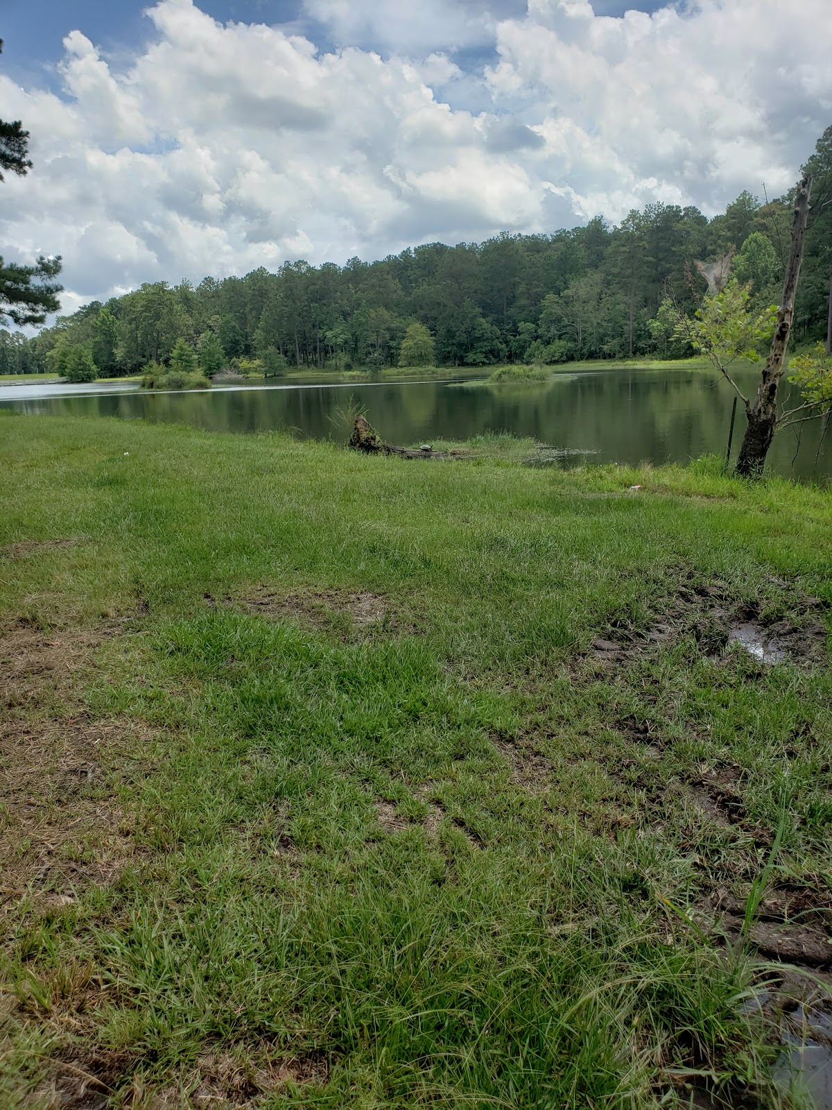 Turkey Fork Rec Area NF Campground