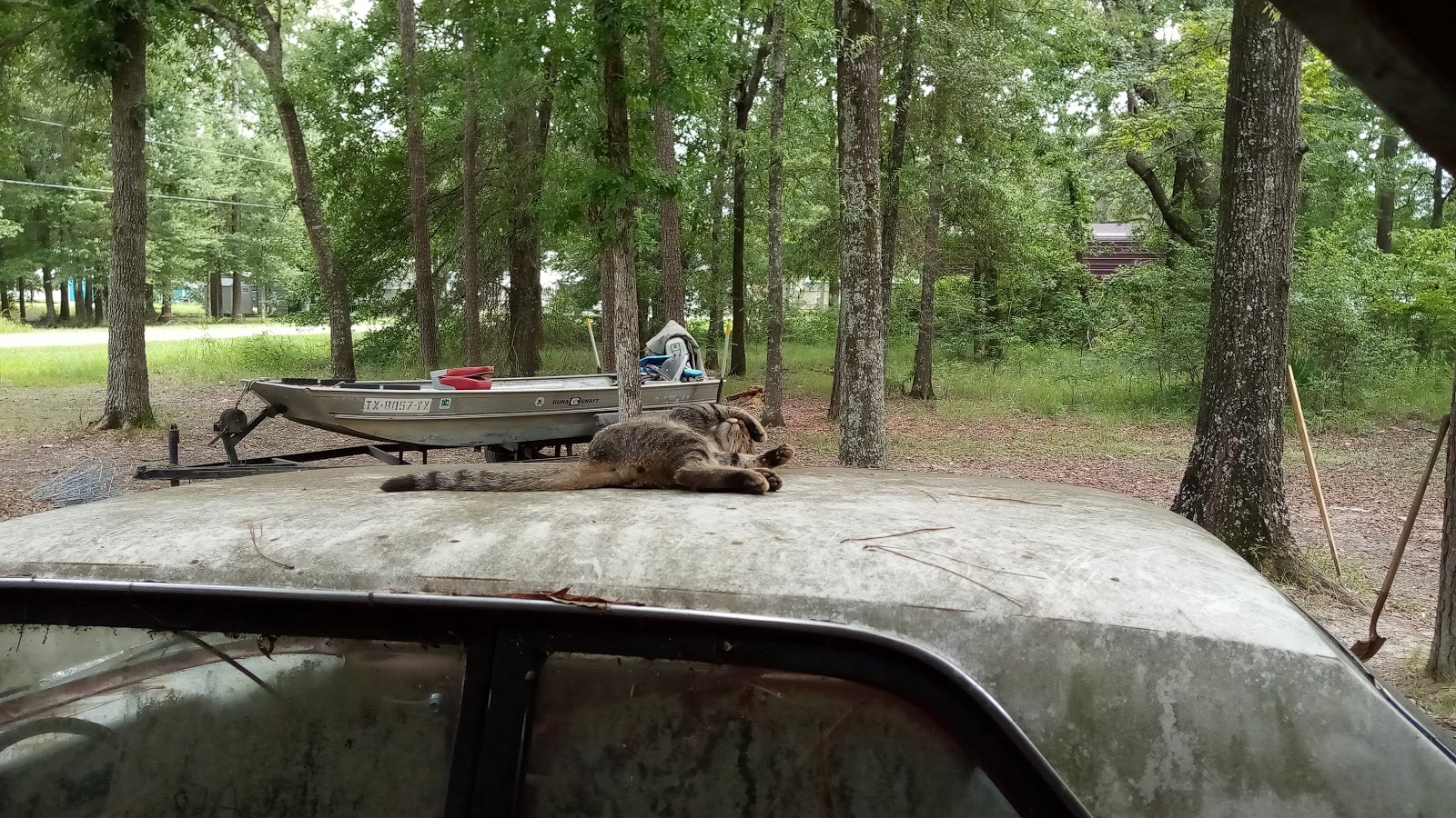 Holiday Villages of Livingston